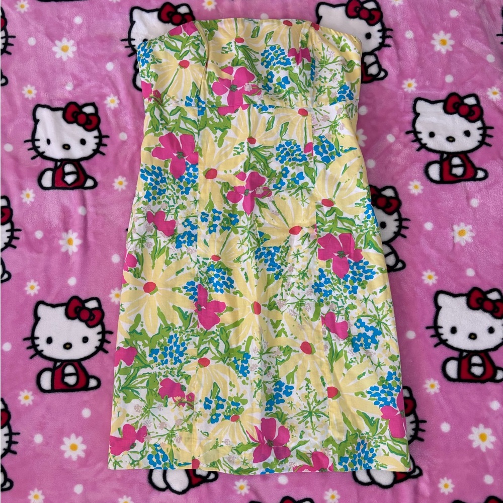 Lilly Pulitzer Franco dress